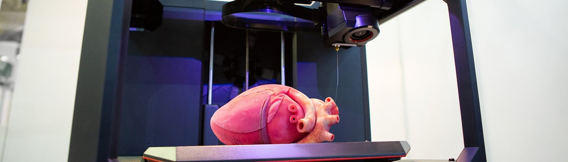 3D Bioprinting