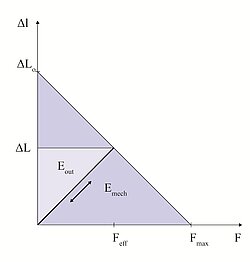 Mechanical Energy Amounts